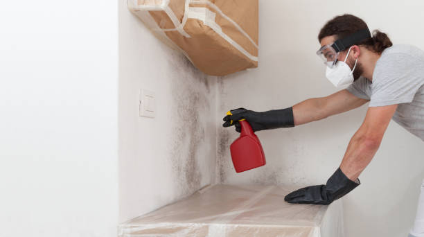 Professional Black Mold Remediation technician working in Springs, NY